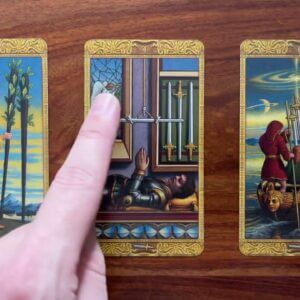 Take a new direction 23 September 2022 Your Daily Tarot Reading with Gregory Scott