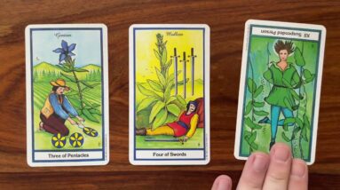 Change your perspective 5 September 2022 Your Daily Tarot Reading with Gregory Scott