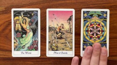 Change your life! 15 October 2022 Your Daily Tarot Reading with Gregory Scott