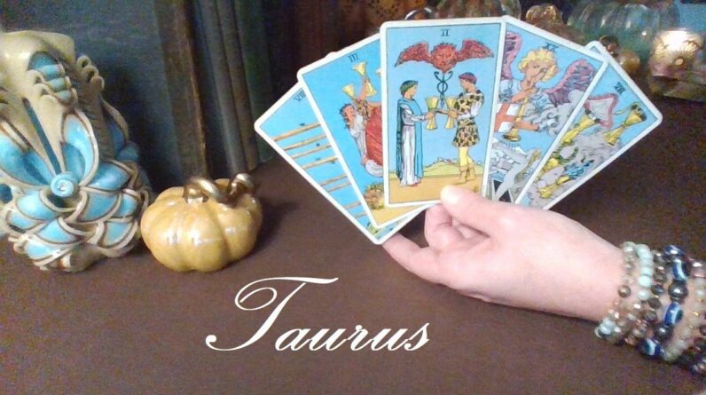 Taurus November 2022 ❤️💲 You Will Soon Have MANY REASONS To Celebrate Taurus! LOVE & MONEY #Tarot