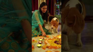 Happy Diwali to All 🪔🤗💕 #loveyouall #shorts #lisasimmi #diwali #diwalishorts #diwali2022 #lovestory