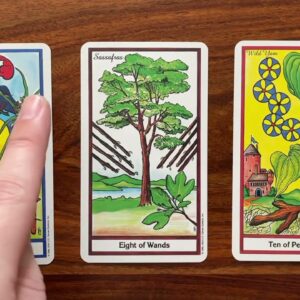 Little ideas lead to big results! 5 October 2022 Your Daily Tarot Reading with Gregory Scott