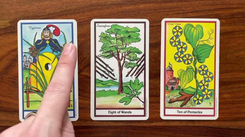 Little ideas lead to big results! 5 October 2022 Your Daily Tarot Reading with Gregory Scott