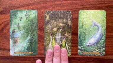 Look beyond the surface 10 October 2022 Your Daily Tarot Reading with Gregory Scott