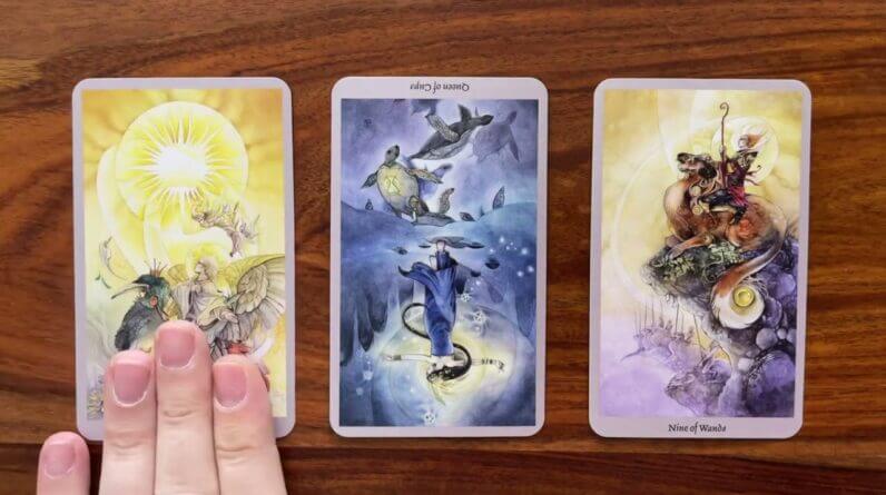 Be kind to yourself 23 October 2022 Your Daily Tarot Reading with Gregory Scott