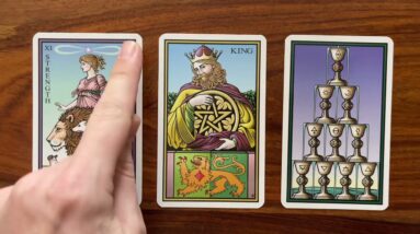 A fresh start! 25 October 2022 Your Daily Tarot Reading with Gregory Scott