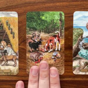 Let others help you 7 October 2022 Your Daily Tarot Reading with Gregory Scott