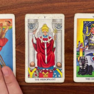Turn your dreams into reality 19 October 2022 Your Daily Tarot Reading with Gregory Scott