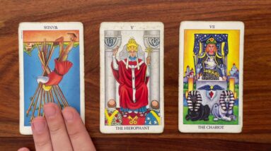 Turn your dreams into reality 19 October 2022 Your Daily Tarot Reading with Gregory Scott