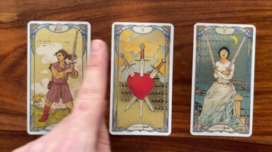Figure yourself out! 🤯 12 November 2022 Your Daily Tarot Reading with Gregory Scott