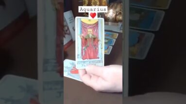 #Aquarius ♥️ There Is More Truth To Come Out #tarot #horoscope #zodiac #astrology