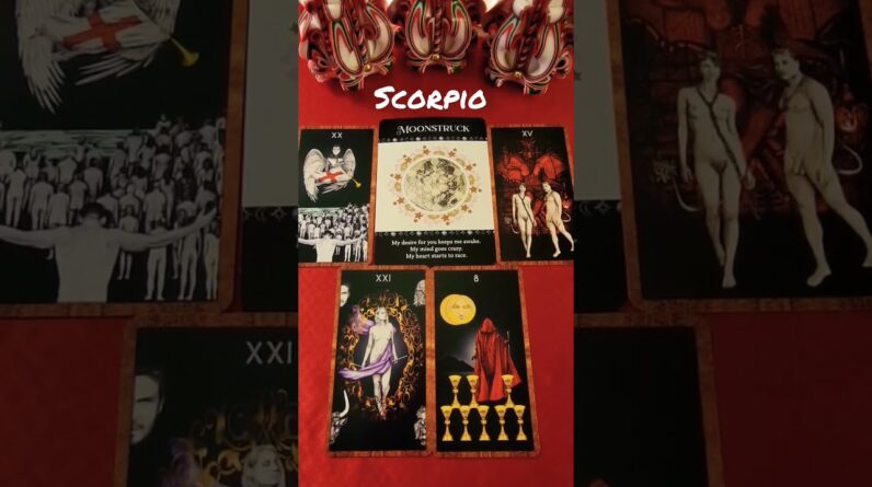 #Scorpio ♥️  Can't Get You Off My Mind #tarot #horoscope #zodiac #Astrology #tarotreading