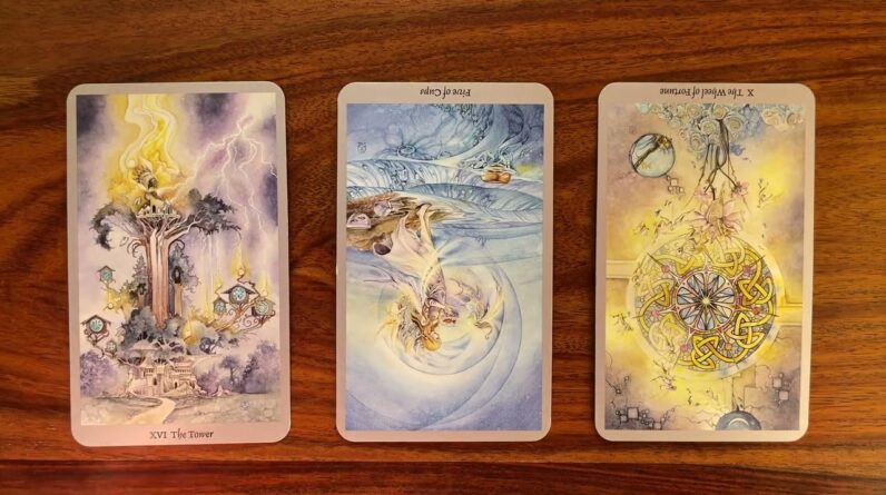 Let go of the old, make space for the new 21 November 2022 Daily Tarot Reading with Gregory Scott