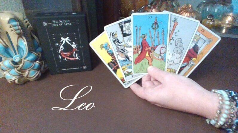 Leo ❤️ So Much UNEXPECTED ATTENTION From Various Sources Leo!! Mid November 2022 #TarotReading