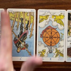 Your purpose appears! 23 November 2022 Your Daily Tarot Reading with Gregory Scott
