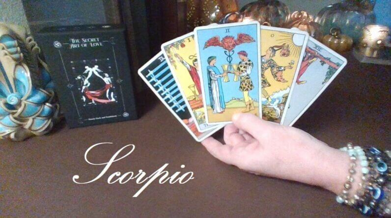 Scorpio ️ The Intense Love Youve Been Searching For Scorpio Mid November 2022 Tarotreading 0977