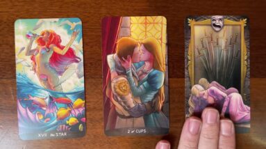 The willingness to let go ⭐️ 27 November 2022 Your Daily Tarot Reading with Gregory Scott