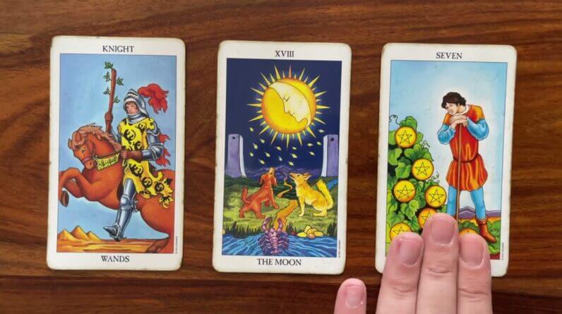 You’re on the right track 2 November 2022 Your Daily Tarot Reading with Gregory Scott