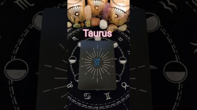 Taurus ♥️ They Feel You Are Their Soulmate #tarot #horoscope #zodiac #astrology #tarotreading