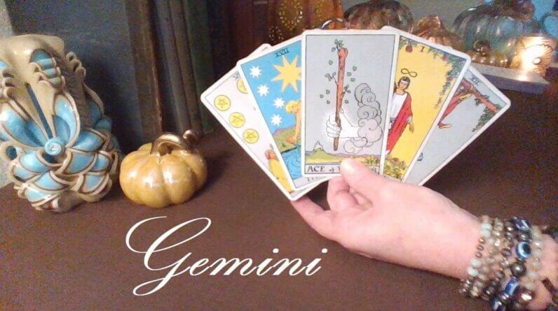 Gemini ❤️ EVERYONE Will Be Talking About This Gemini!! FUTURE LOVE #TarotReading November 2022