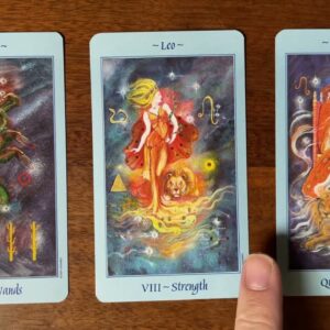 The fear of success 😬 25 November 2022 😅 Your Daily Tarot Reading with Gregory Scott