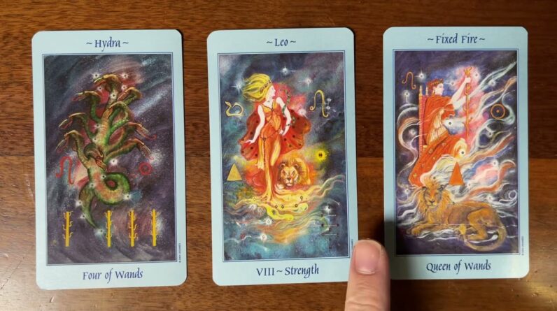 The fear of success 😬 25 November 2022 😅 Your Daily Tarot Reading with Gregory Scott