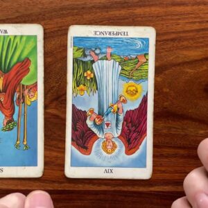 Keep your cool 😎 8 November 2022 🥶 Your Daily Tarot Reading with Gregory Scott