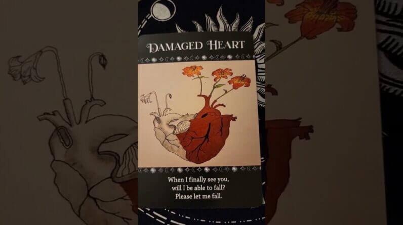 Meet The Artist's Of The Secret Art Of Love Oracle Deck ♥️ #tarot #Oracle #Astrology #zodiac