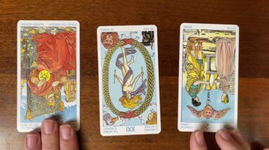 The universe is your mirror 29 November 2022 Your Daily Tarot Reading with Gregory Scott