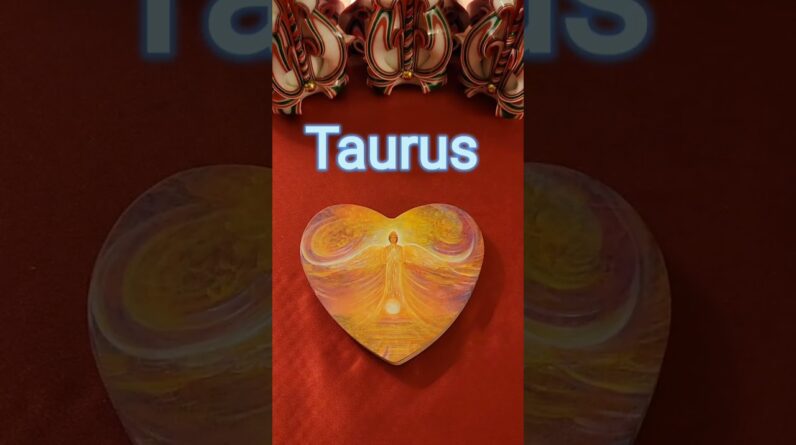 Taurus 💫 What Your Angels Want You To Know #tarot #zodiac #astrology #horoscope #tarotreading