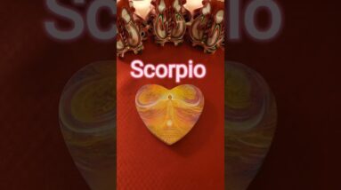 Scorpio 💫 What Your Angels Want You To Know #tarot #zodiac #astrology #horoscope #tarotreading