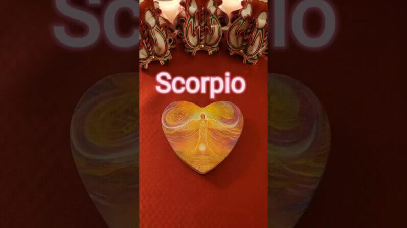 Scorpio 💫 What Your Angels Want You To Know #tarot #zodiac #astrology #horoscope #tarotreading