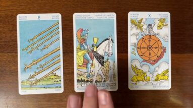 Protect your own interests 7 December 2022 Your Daily Tarot Reading with Gregory Scott