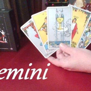 Gemini ❤️ You Are Their FANTASY They Want To Make A REALITY Gemini! FUTURE LOVE December 2022 #Tarot