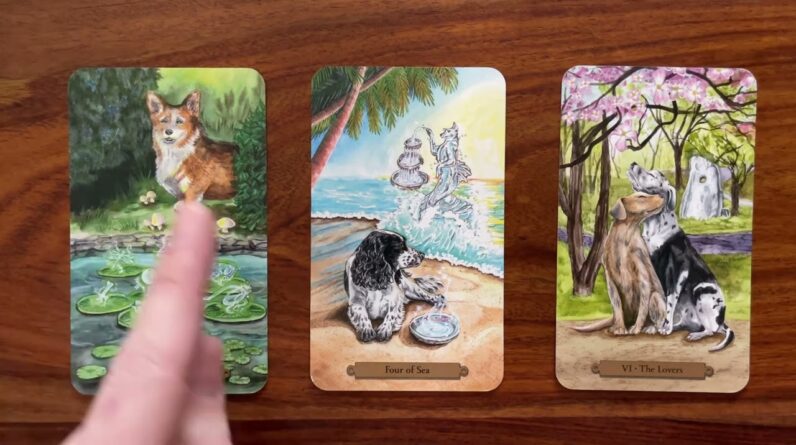 Turn your life around! 17 December 2022 Your Daily Tarot Reading with Gregory Scott