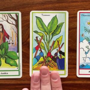 Sudden enlightenment! 12 December 2022 Your Daily Tarot Reading with Gregory Scott