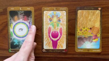 Go for it! 22 December 2022 Your Daily Tarot Reading with Gregory Scott