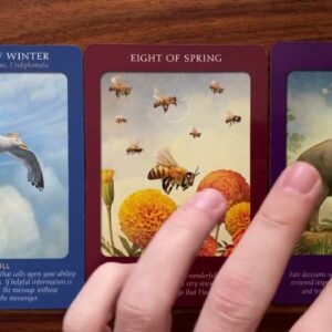 Get ready for some good news! 15 December 2022 Your Daily Tarot Reading with Gregory Scott