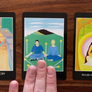 How to plan for the future 23 December 2022 Your Daily Tarot Reading with Gregory Scott