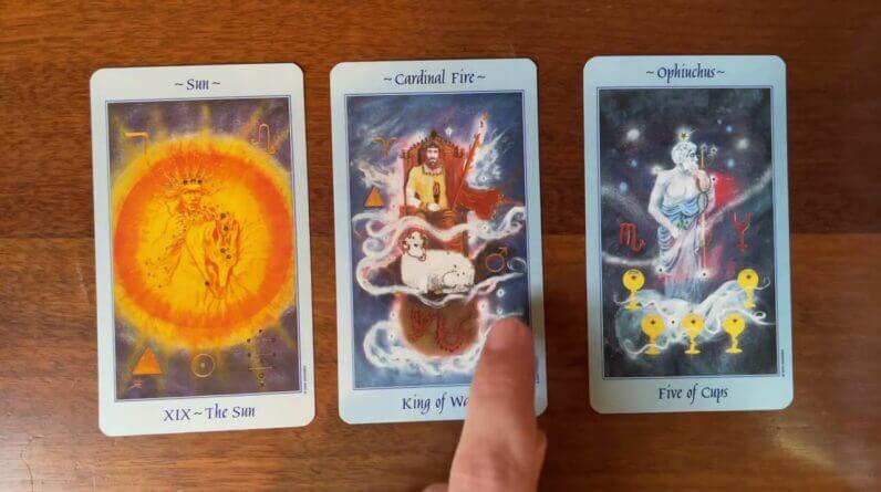 Your inner resources are fully stocked! 8 December 2022 Your Daily Tarot Reading with Gregory Scott