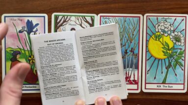 The chance to choose again 20 December 2022 Your Daily Tarot Reading with Gregory Scott