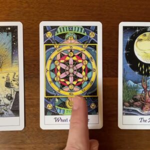 Your dream life becomes crystal clear! 4 December 2022 Your Daily Tarot Reading with Gregory Scott