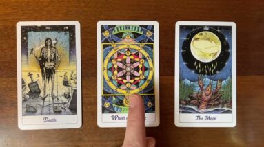 Your dream life becomes crystal clear! 4 December 2022 Your Daily Tarot Reading with Gregory Scott