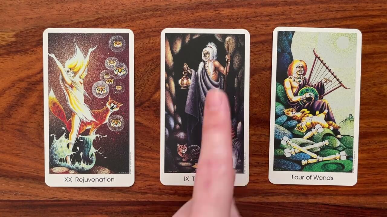 The Art Of Surrender 14 December 2022 Your Daily Tarot Reading With ...