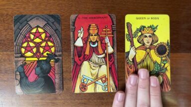 Discover the truth 11 December 2022 Your Daily Tarot Reading with Gregory Scott