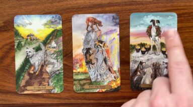 Upgrade your life 15 January 2023 Your Daily Tarot Reading with Gregory Scott