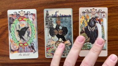 Spiritual bravery! 23 January 2023 Your Daily Tarot Reading with Gregory Scott