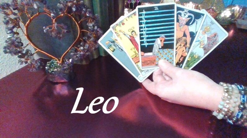 Leo February 2023 ❤️ TRAVELING ON THE HOT MESS EXPRESS STRAIGHT TO YOU Leo! HIDDEN TRUTH #Tarot