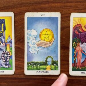 When the world opens up 29 January 2023 Your Daily Tarot Reading with Gregory Scott