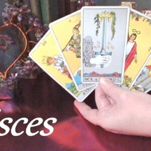 Pisces 🔮 AMAZING READING! Your Moment Of ABSOLUTE BLISS Pisces!! February 2023 #TarotPredictions